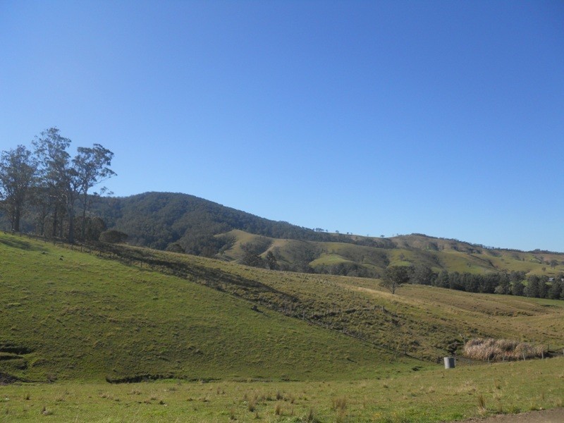 Chichester NSW 2420