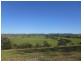 Chichester NSW 2420