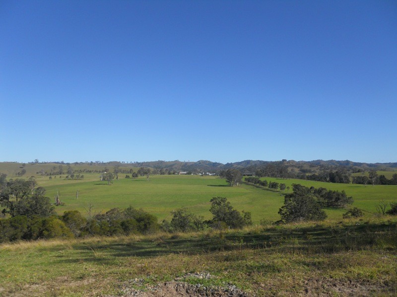 Chichester NSW 2420