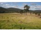 Lot 131 Mill Creek Road, Stroud NSW 2425