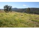 Lot 131 Mill Creek Road, Stroud NSW 2425