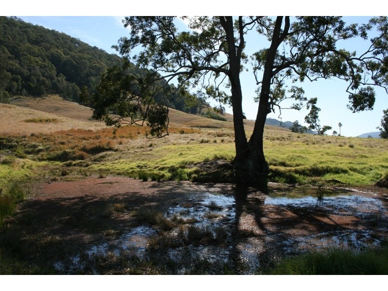 Lot 131 Mill Creek Road, Stroud NSW 2425