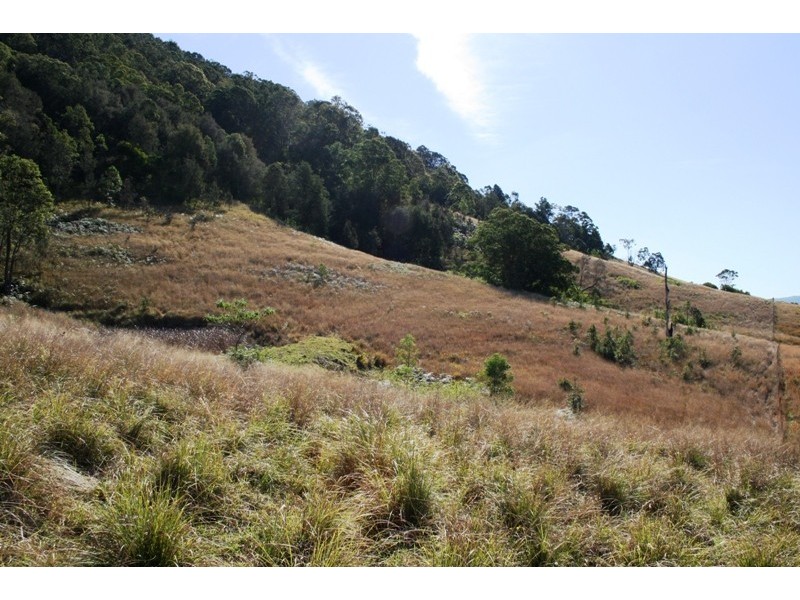 Lot 131 Mill Creek Road, Stroud NSW 2425