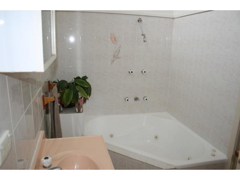 163 Sugarloaf Road, Dungog NSW 2420