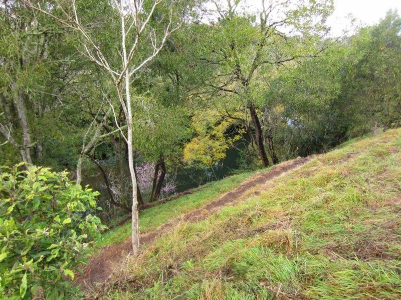 49 Fosterton Road, Dungog NSW 2420