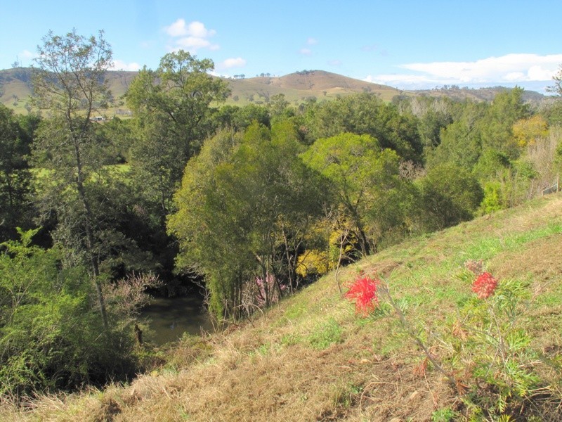 49 Fosterton Road, Dungog NSW 2420