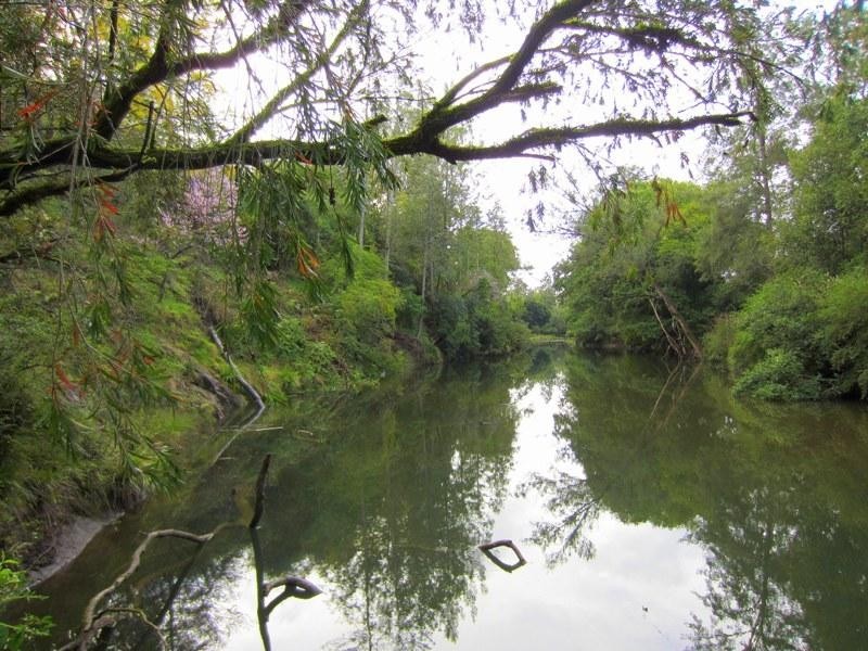 49 Fosterton Road, Dungog NSW 2420