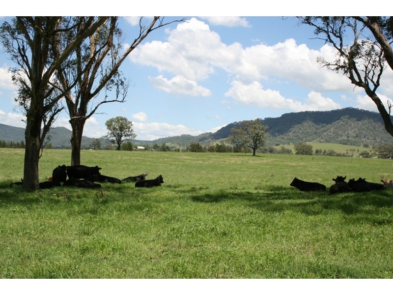 1005 Summerhill Road, Vacy NSW 2421