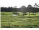 Lot 101 Limeburners Creek Road, Clarence Town NSW 2321