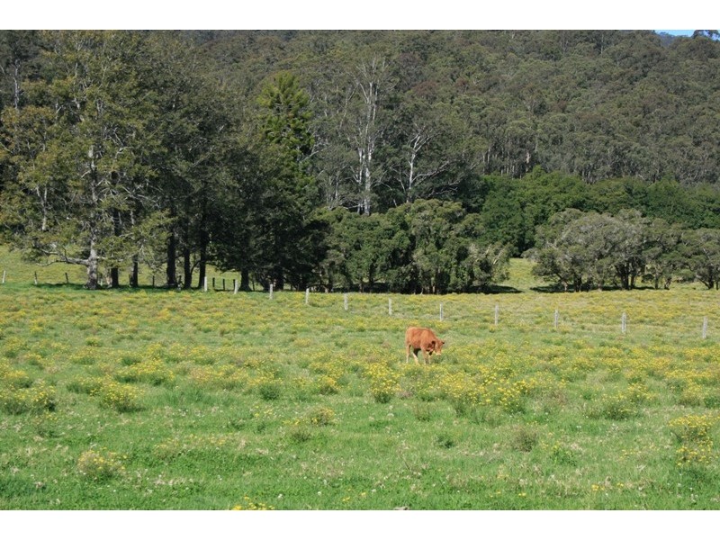 1140 Mill Creek Road, Stroud NSW 2425