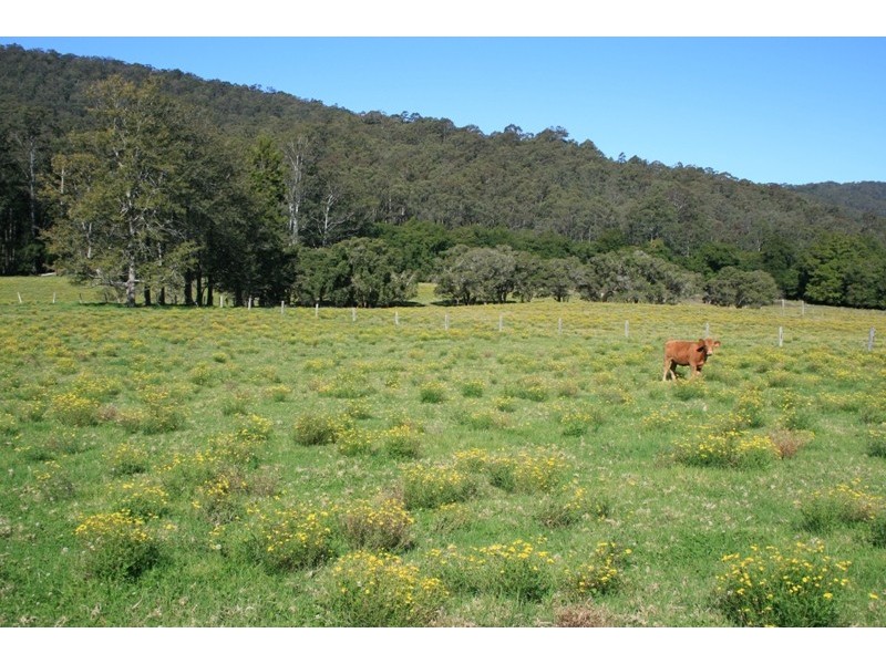 1140 Mill Creek Road, Stroud NSW 2425