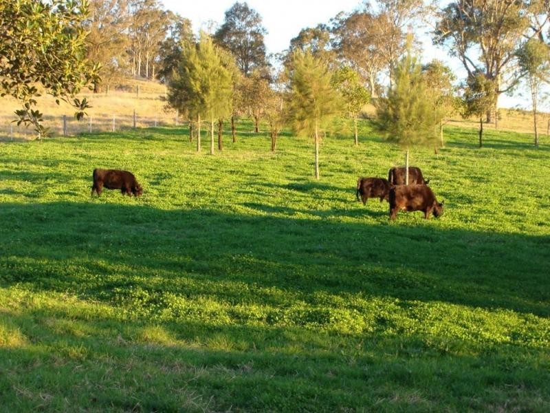 424 Wallarobba Brookfield Road, Dungog NSW 2420