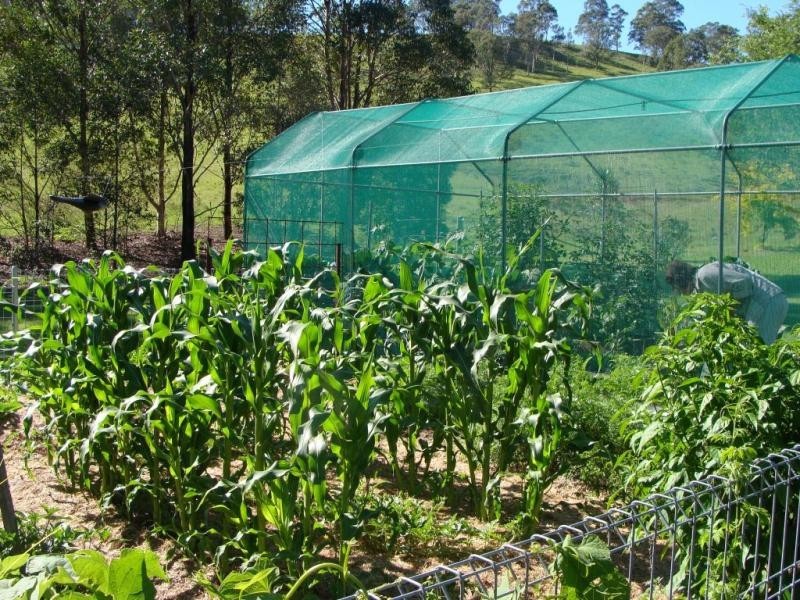 424 Wallarobba Brookfield Road, Dungog NSW 2420