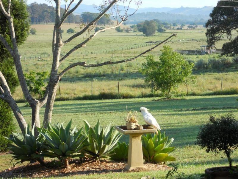 424 Wallarobba Brookfield Road, Dungog NSW 2420