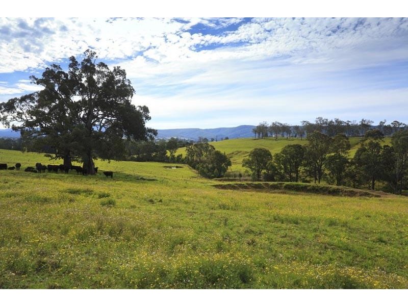 126 Salisbury Road, Dungog NSW 2420