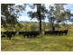 126 Salisbury Road, Dungog NSW 2420