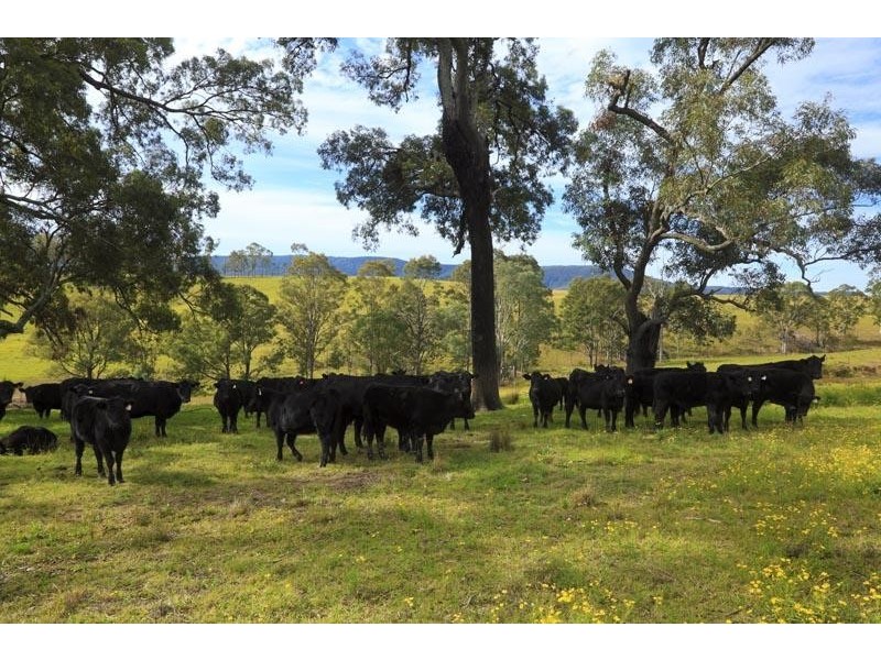 126 Salisbury Road, Dungog NSW 2420