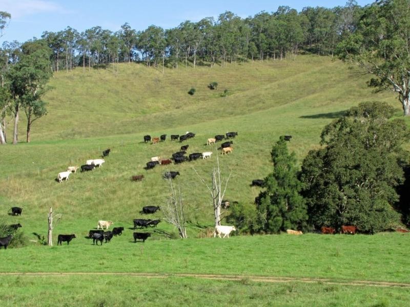 583 Wallaringa Road, Dungog NSW 2420