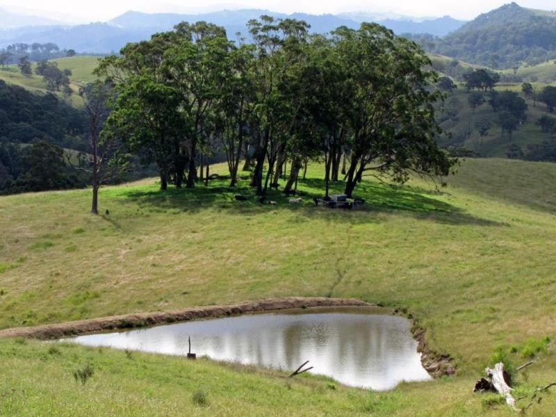 583 Wallaringa Road, Dungog NSW 2420