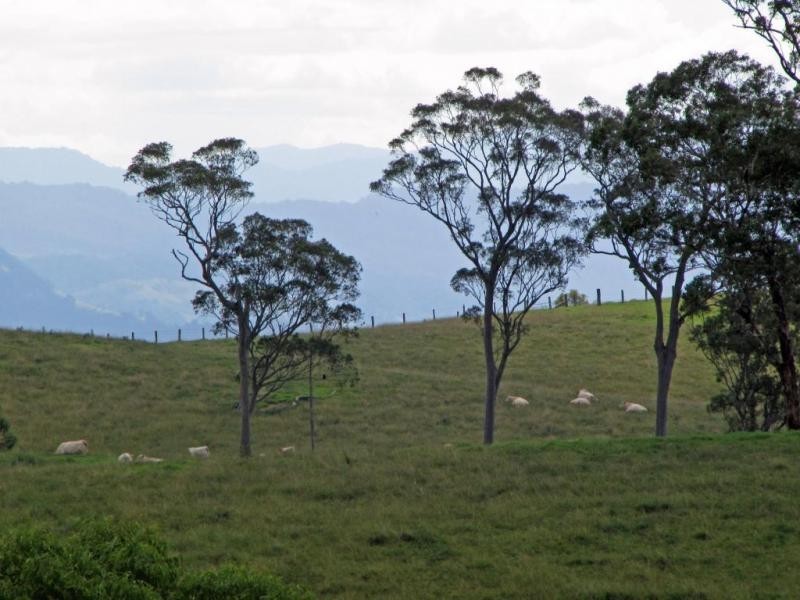 583 Wallaringa Road, Dungog NSW 2420