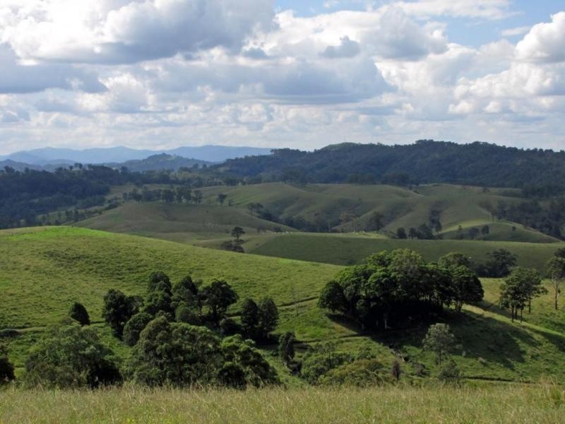 583 Wallaringa Road, Dungog NSW 2420