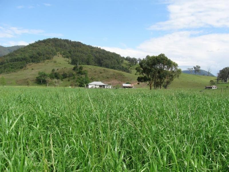 828 Upper Monkerai Road, Dungog NSW 2420