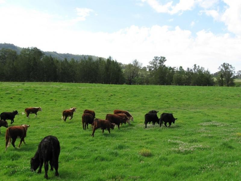 828 Upper Monkerai Road, Dungog NSW 2420