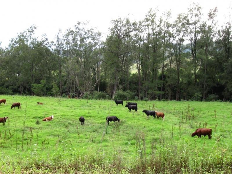 828 Upper Monkerai Road, Dungog NSW 2420