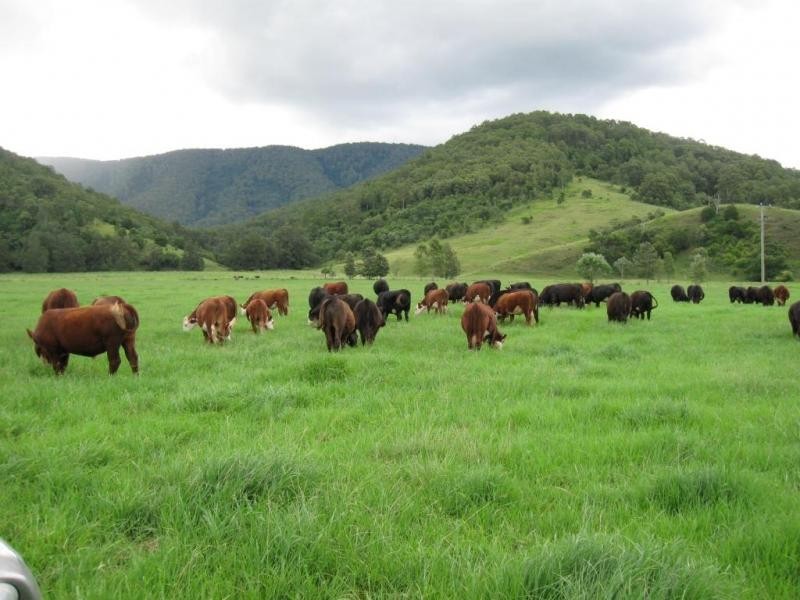 828 Upper Monkerai Road, Dungog NSW 2420