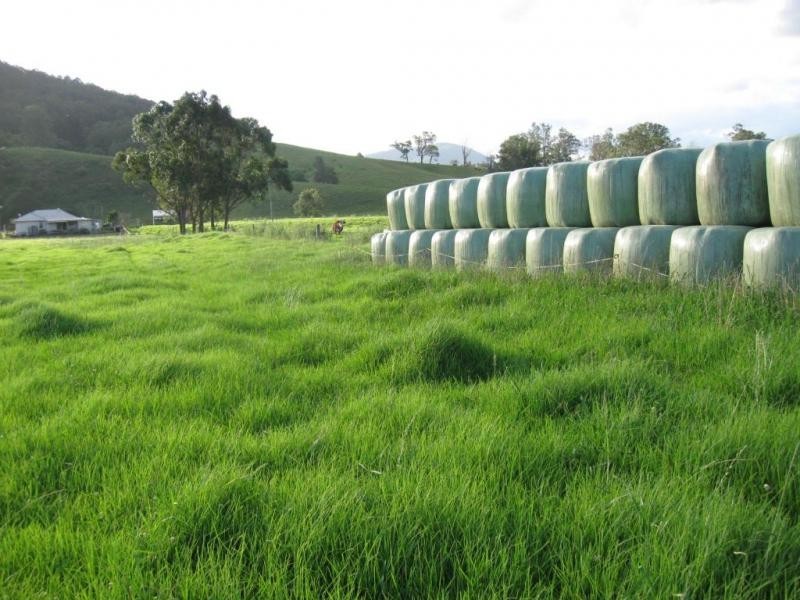 828 Upper Monkerai Road, Dungog NSW 2420