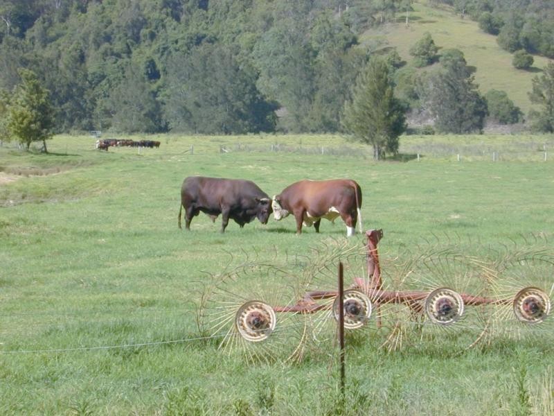 828 Upper Monkerai Road, Dungog NSW 2420