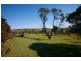 67 Welshmans Creek Road, Dungog NSW 2420