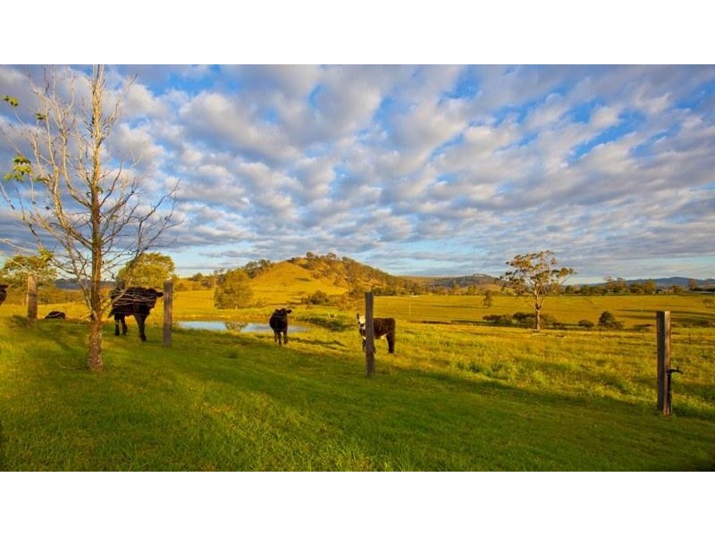 39 Wade Street, Dungog NSW 2420