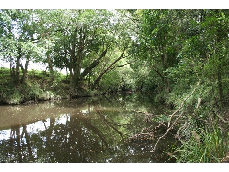 689 Bucketts Way, Stroud Road NSW 2415