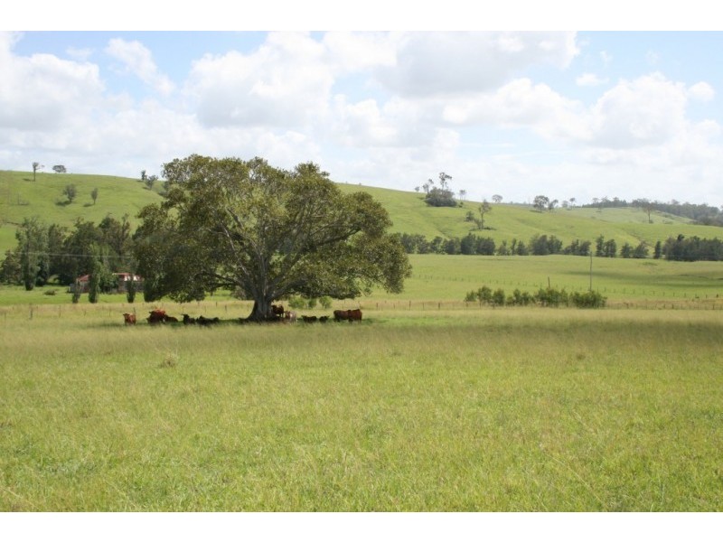 Lot 11 Hanleys Creek Road, Dungog NSW 2420