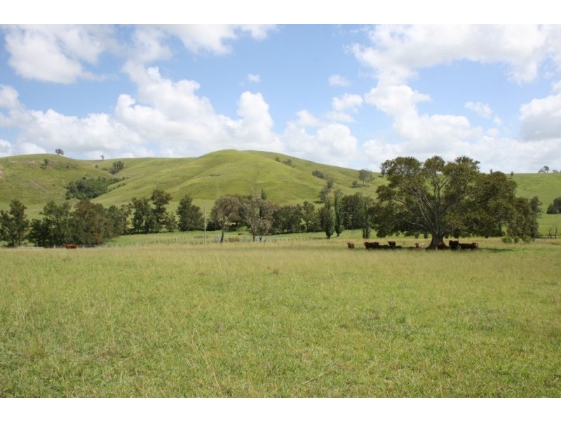 Lot 11 Hanleys Creek Road, Dungog NSW 2420
