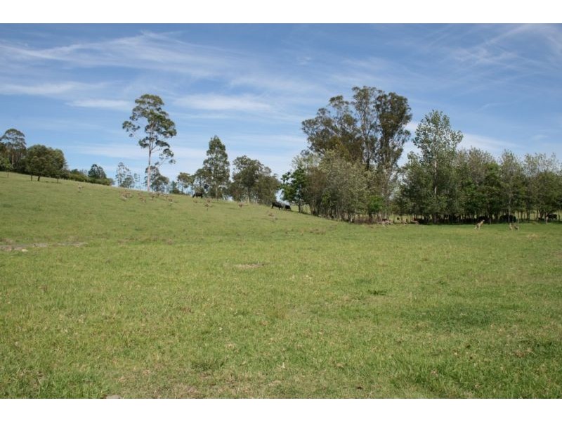 Lot 17 Wade Street, Dungog NSW 2420