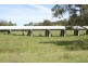 Lot 17 Wade Street, Dungog NSW 2420