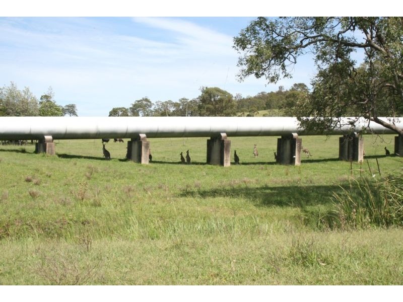 Lot 17 Wade Street, Dungog NSW 2420