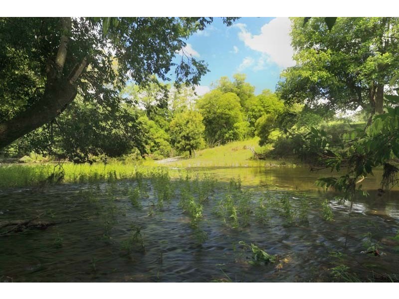 1590 Fosterton Road, Dungog NSW 2420