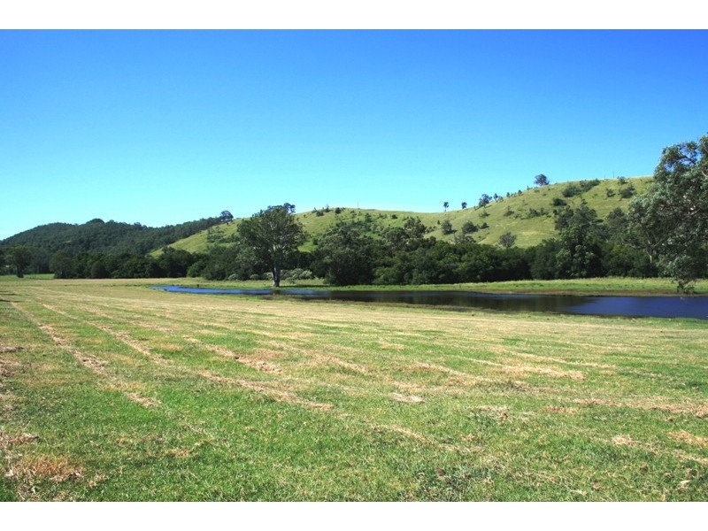 450 Chichester Dam Road, Dungog NSW 2420