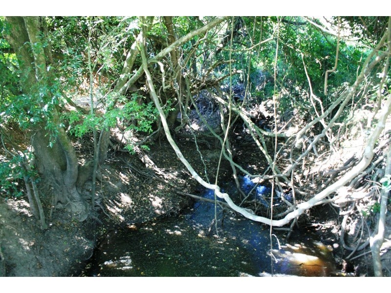 450 Chichester Dam Road, Dungog NSW 2420