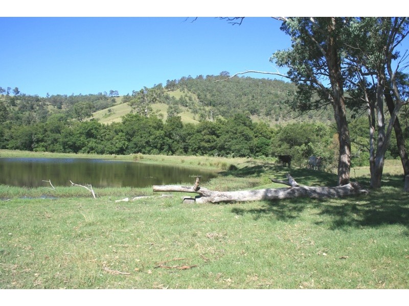 450 Chichester Dam Road, Dungog NSW 2420