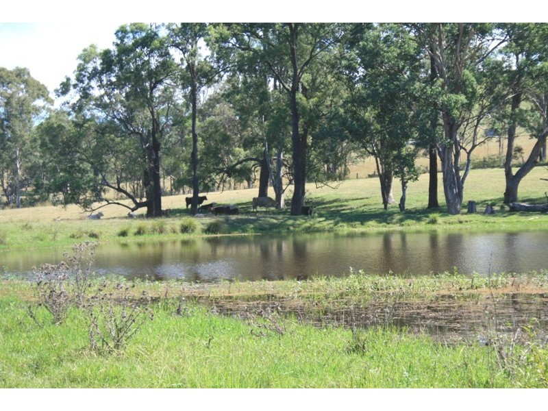 450 Chichester Dam Road, Dungog NSW 2420