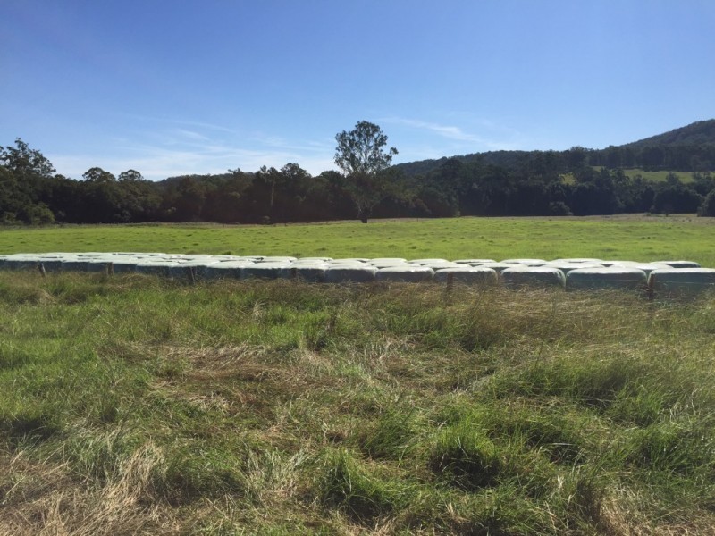 642 Mill Creek Road, Stroud NSW 2425