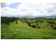 528 Quartpot Creek Road, Dungog NSW 2420