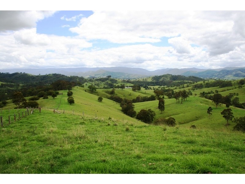 528 Quartpot Creek Road, Dungog NSW 2420