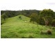 528 Quartpot Creek Road, Dungog NSW 2420