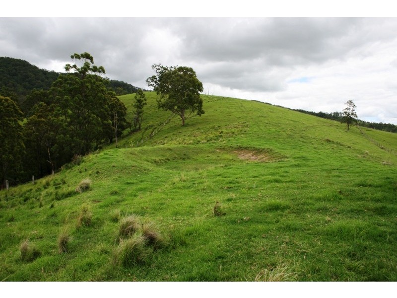 528 Quartpot Creek Road, Dungog NSW 2420