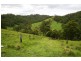 528 Quartpot Creek Road, Dungog NSW 2420